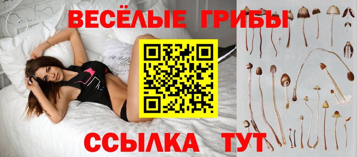 Галлюциногенные грибы ЛСД  Вход с VPN  Владивосток 