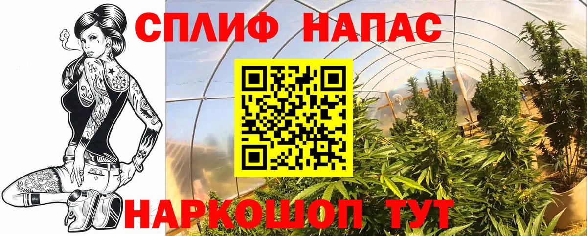 Марихуана MAZAR Владивосток